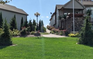 professional landscape designer