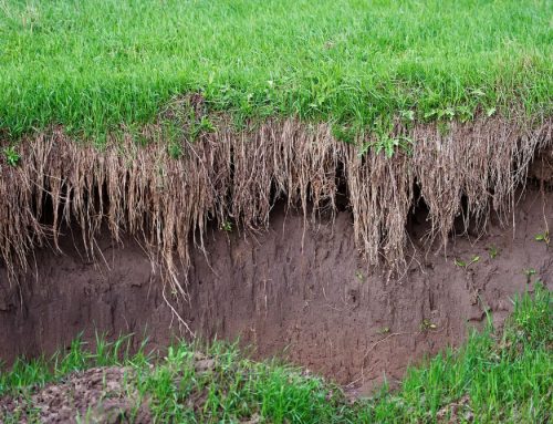Preventing Soil Erosion With Hardscaping and Landscaping
