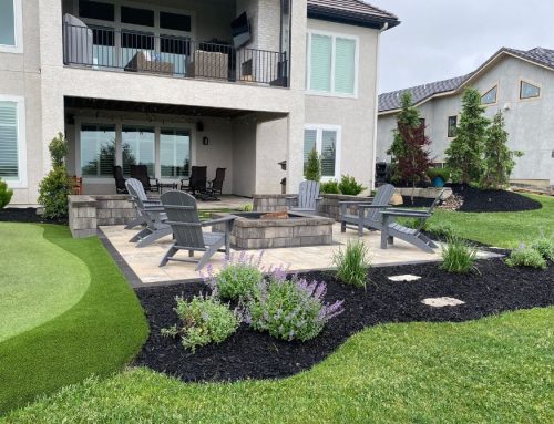 The Art of Balancing Softscape and Hardscape Elements in Your Landscape