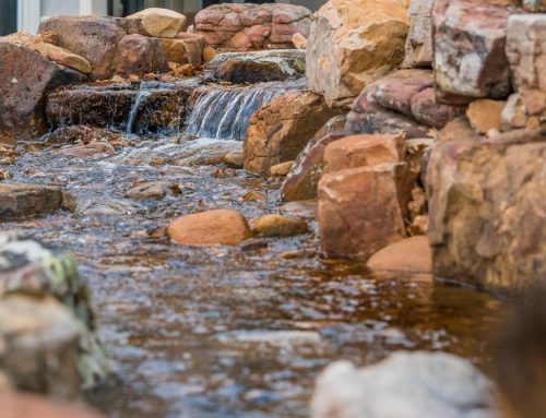 Designing a Tranquil Water Feature: Fountains, Ponds, and Waterfalls